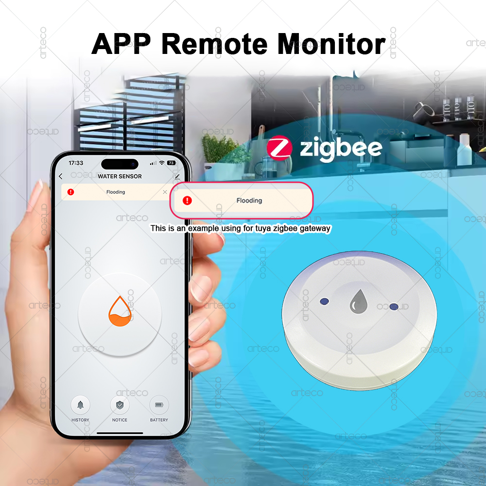 Smart Zigbee Water Sensor Floo - đánh giá và giá Smart Home Gateway