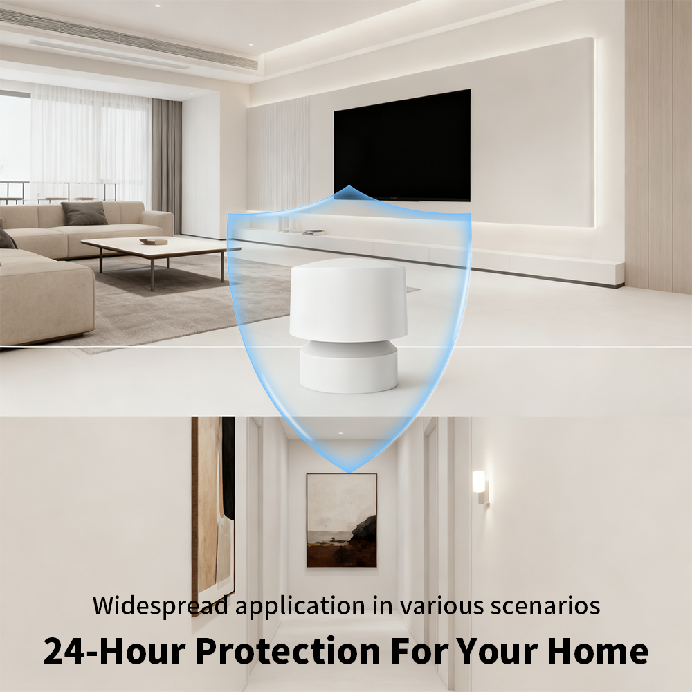 Zigbee or WiFi Smart Human Pre - đánh giá và giá Smart Home Retrofit