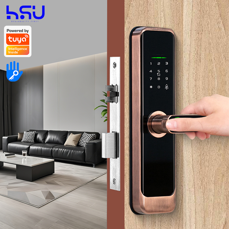 Digital Smart Doorlock Passcod - đánh giá và giá Smart Home Lock