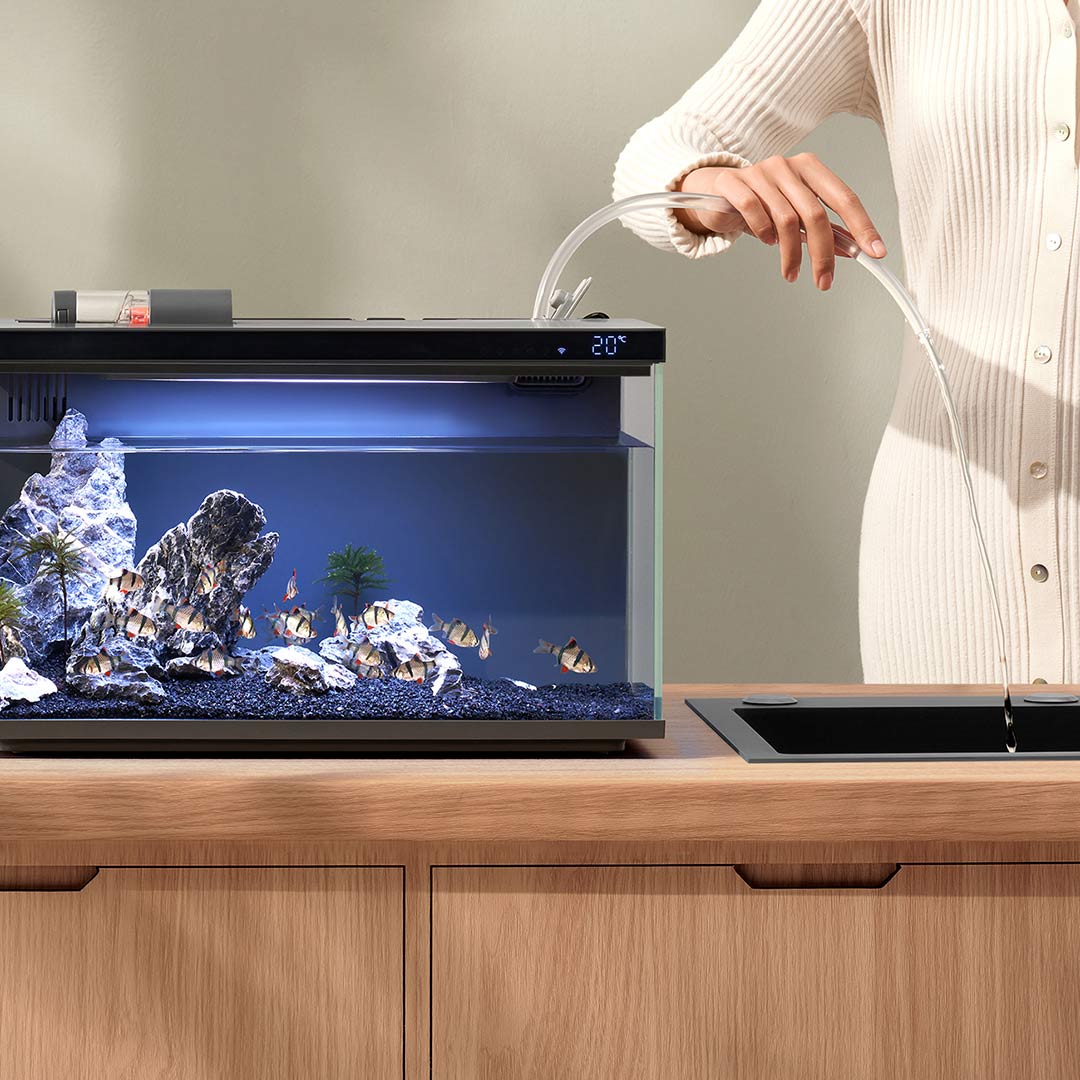 Xiaomi Mijia Smart Fish Tank M - đánh giá và giá Smart Home Xiaomi Devices