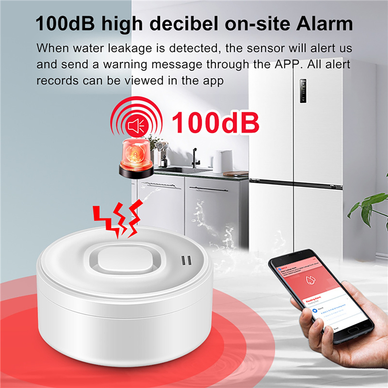 Smart WIFI Water Leak Detector - đánh giá và giá Wifi Water Leak Detector